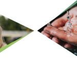 FET COVID-19 Services Response Update