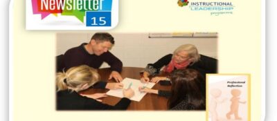 IL Newsletter Issue 15 – Professional Reflection